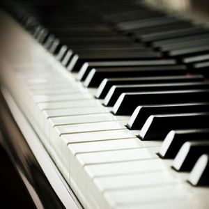 黑丝美女在床上做运动
