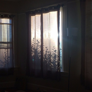 黑丝美女在床上做运动
