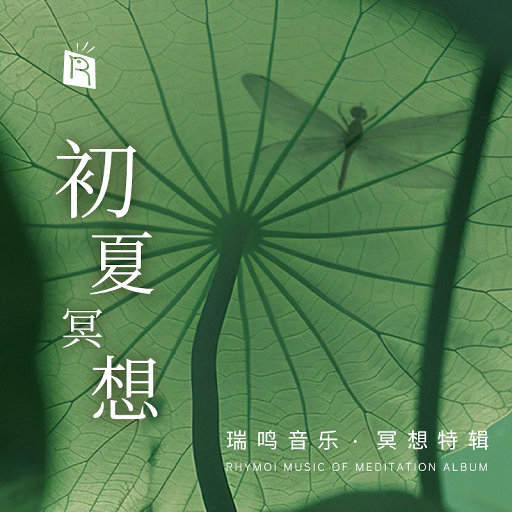 黑丝美女在床上做运动
